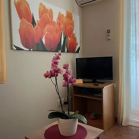 Appartement Suzi