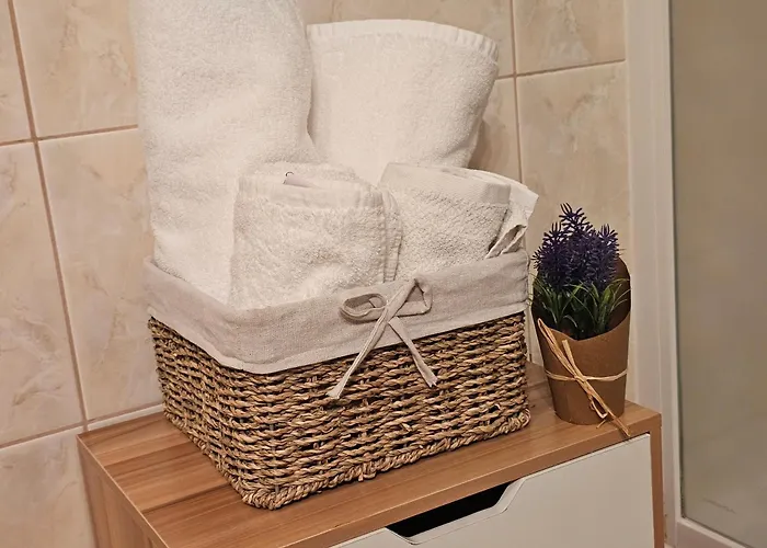 Διαμέρισμα Family Suzi Ρόβινι