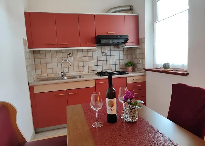 Family Suzi * 로비니